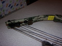 Proline Riptide Compound Bow