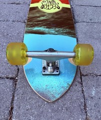 Sector 9 Swallow Tail Mini Cruiser Complete Skateboard 29” – Mission One Trucks