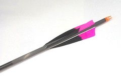 Pure carbon arrows