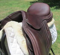 16.5″ SCHLEESE JETE close contact jumping saddle- WOOL FLOCKED- 2023 MODEL!!