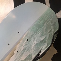 ELEMENT Skateboard Landscape South America Deck Future Is Nature Beach Litter
