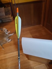 Beman ICS Patriot 500 1/2 Dozen Arrows Fletched 4″ Vanes 2 Yellow 1 White