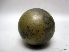 5.45 kg 12 lb Cast Iron Shot Put Training, Gym, Exercise