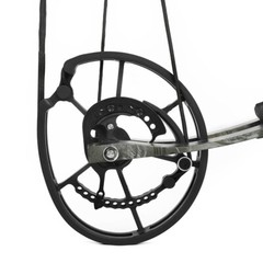 US Compound Bow Short Axis 30-70lbs Dual-use Steel Ball Arrow Hunting Fish RH LH