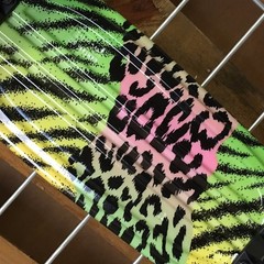 New Globe Bantam Graphics ST Rad Cat Complete Skateboard – 23in