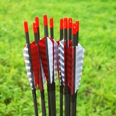 Elong 12PCS 30″ Arrows for Compound Bows,Pure Carbon Hunting Arrows for Arche…
