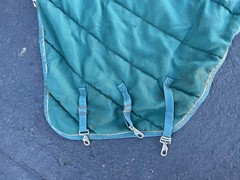 Schneiders SuperQuilt Adjusta-Fit Horse Blanket 60in x 40in Green Padded Stable