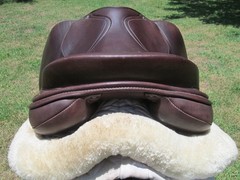 16.5″ SCHLEESE JETE close contact jumping saddle- WOOL FLOCKED- 2023 MODEL!!