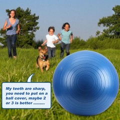 Herding Ball for Horse, 40″ Anti-Burst Giant Soccer Ball Toy for Horses, Pump…