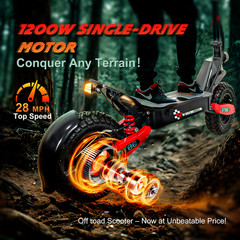 Off-road Electric Scooter for Adults 1200W 30MPH 25Miles 11»Commuter Escooter