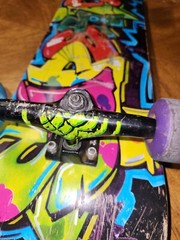 Thunder Skateboard Trucks