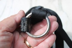 The Best way To Keep a Horse’s Cravings Original Horse Grazing Muzzle Used