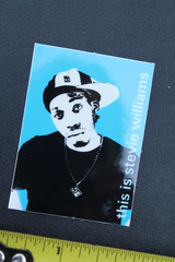 411 Video Magazine This Is Stevie Williams DGK BP3 Vintage Skateboarding STICKER