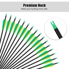 14 Pack 30 Archery Carbon Arrows,Practice Hunting Arrow with Removable Tips Shaf