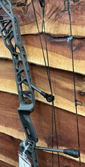 Mathews Lift X 28.5 Shale 28.5″D/L 60#D/W *Display Bow* -9312-