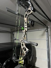 Bear Vast Compound Bow