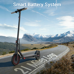 LADPED Foldable Adult Electric Scooter LP80 19mph Max Speed 350W 21Mile ESCOOTER