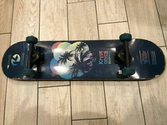 KRYPTONICS SKATEBOARD 31 INCHES COMPLETE PALM TREE