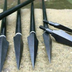 12X 150gr Archery Arrowheads Hunting Tips Screw Points Crossbow Arrow Broadheads