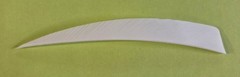 Trueflight Feathers «5» Shield LW or RW Dozen or 50 Count