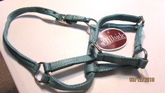 NWT HILLSIDE HARNESS AND HARDWARE NYLON SMALL PONY TURNOUT HALTER LIGHT GREEN