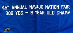 Vtg Horse Race Banner Blanket By Simco 2 Yr Old Champion 45th Navajo Nation Fair