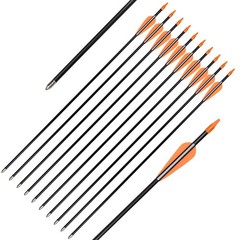 Elong Fiberglass Arrows Archery 24 Inch Target Shooting Practice Safetyglass …