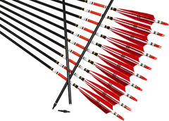 TTFLY FLETCHING 12PCS Red Turkey Feather 31 Inches Carbon Arrows Tips Targeting
