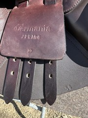Thornhill Germania Spring Jump Eventing Saddle 19 in Brown