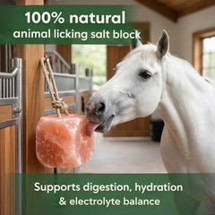 Himalayan Salt Lick Block with Rope 5-6 lb Multi Pack for Horses & Livestock