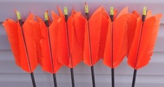 6 FLU FLU ARROWS TANGERINE 6 HELICAL FEATHERS