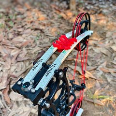 Archery Compound Bow Set 80% Let-Off CNC 30-75lbs HuntingCompetitive Shooting