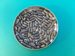 22 CAL PELLETS 2-S NOSE HOLLOW POINT 40 GRAIN CUSTOM SWAGED 100 count