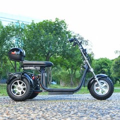 Off-road electric tricycle for adult outdoor use 3000W motor max speed 25-28MI