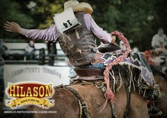 27HS Hilason Pro Rodeo Bull Riding Chaps Genuine Leather Turquoise