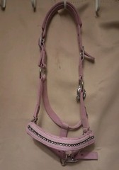 Pink Bling, Padded Nylon Halter, PONY