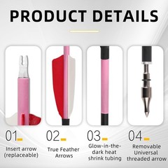 12 Pack Carbon Arrow Practice Hunting Arrow, 30″ Glow in Dark, Detachable Tip