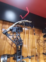 Bear Whitetail INT Bow Package RTH 45-60lbs Black With Bottomland Limbs 335fps