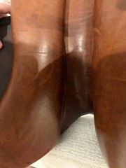 M. Toulouse Sellier 16.5″ Medium Saddle + Stirrups