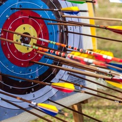 12Pack 50 Grain Archery Arrow Brass Insert for 244 6.2mm Carbon Arrows