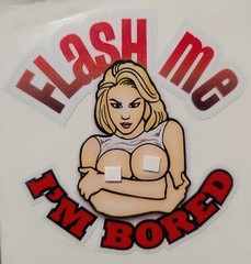 SEXY GIRL STICKER «FLASH ME IM BOARD» 3 X 3″ WATERPROOF
