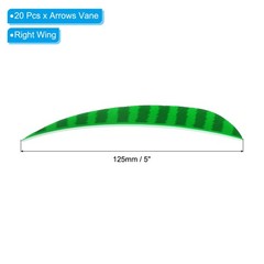 Arrows Vanes 20 Pack 5 Inch Arrow Feather Right Wing, Light Green