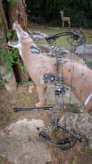 Black Gold Custom Archery Bow Sight Ring & Dial Upgrades; All Sights & 14 Colors