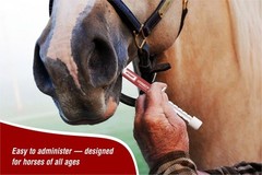 VETSORT Horse Paste Dewormer Apple Flavor Wormer 1.87% EXP 10/2027 (3 pack)