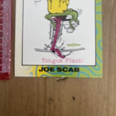 Nos SURFZOIDS JOE SCAB 1987 Astro boys CARD Skateboarding CARD