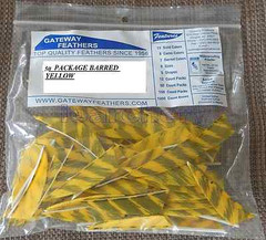 GATEWAY RAYZR 2″ RW FEATHERS 50 pk,