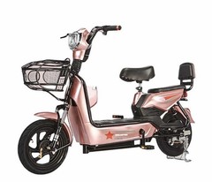500 Watt Electric Scooter / Bike 48 Volt Battery 2Seats Remote Start and More.