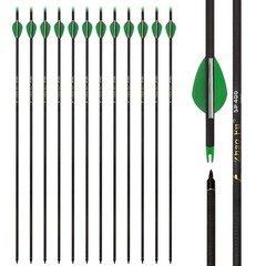29 Inch Carbon Hunting Arrows Spine 400 with Removable Tips for Archery (12 Pcs)