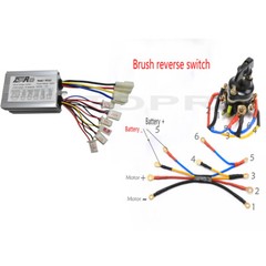 800W 36V Brush Motor Kit Controller Electric Scooter ATV Quad Buggy Razor E Bike