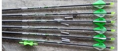 5 MM AXIS ARROWS BLAZER 2″ VANES HIT INSERTS 1 DZ